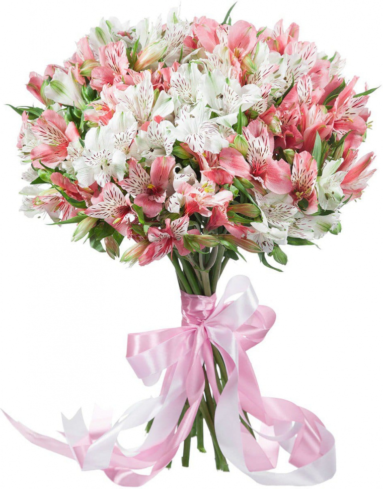 Альстромерии Микс № 2